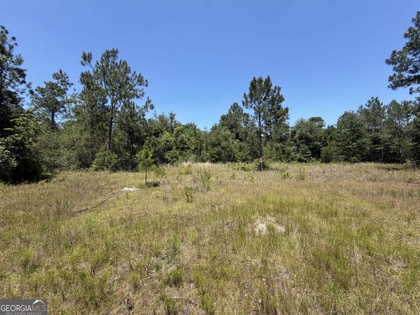 204 John Osburn Lane, Hazlehurst, GA 31539