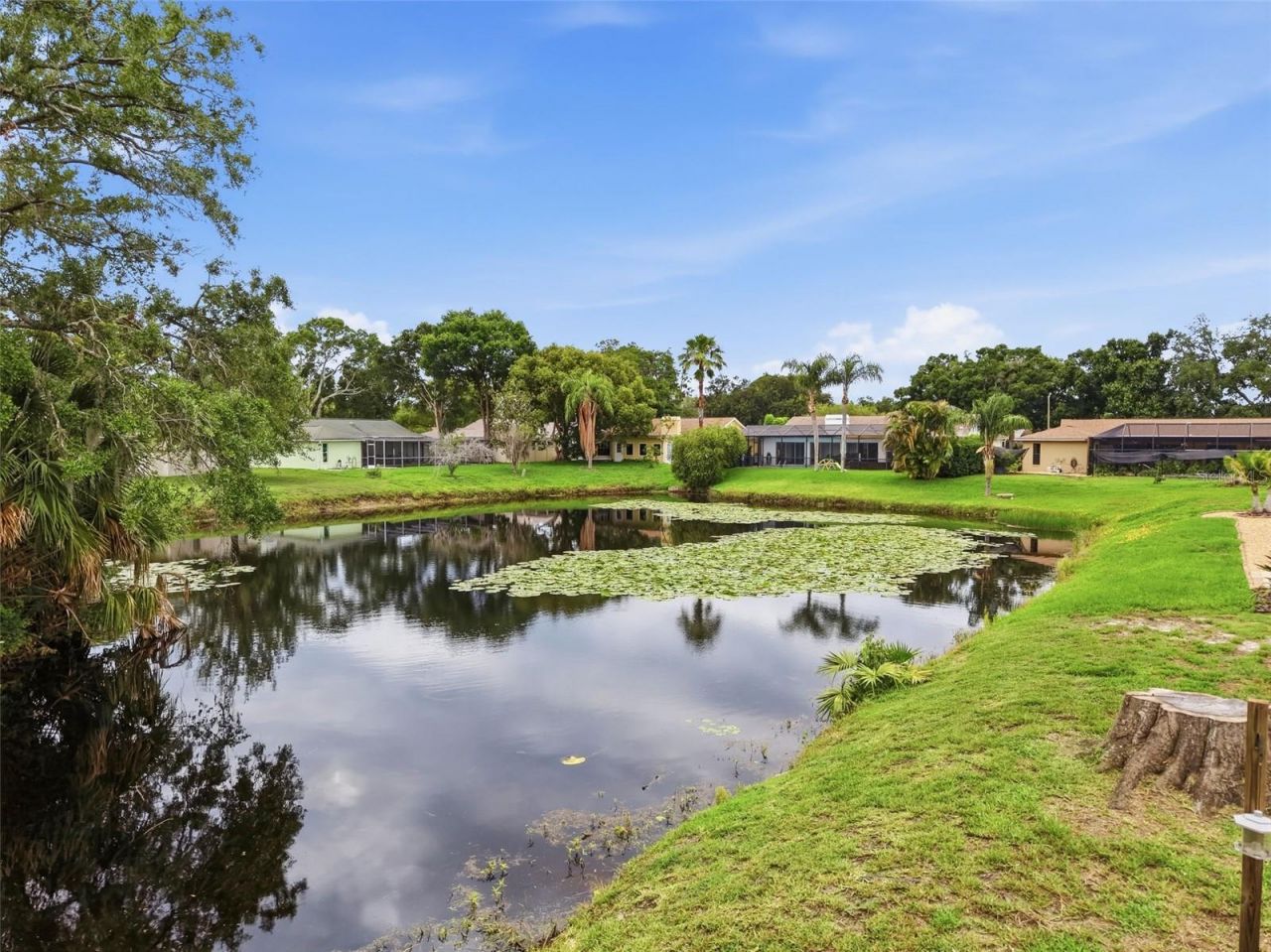 3341 Player Drive , New Port Richey, FL 34655 Photo