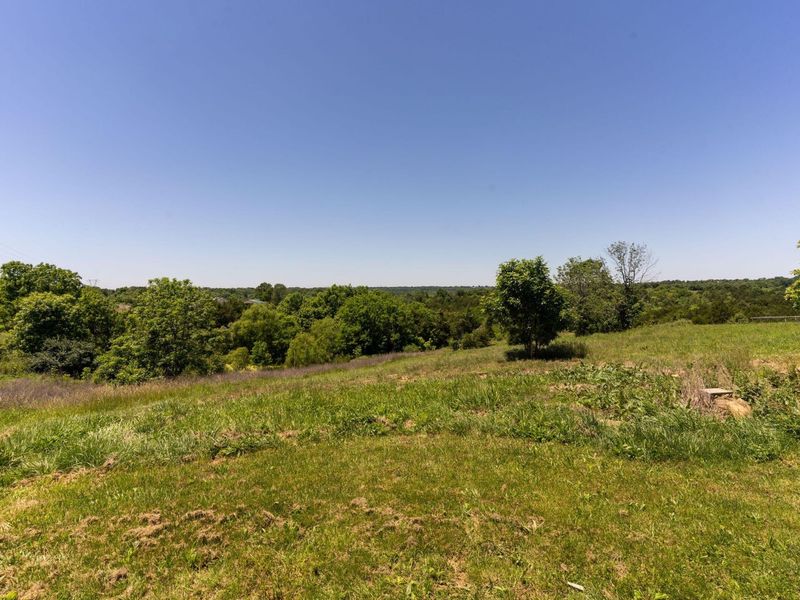 855 Reed Kinman Road, Williamstown, KY 41097 Photo 30