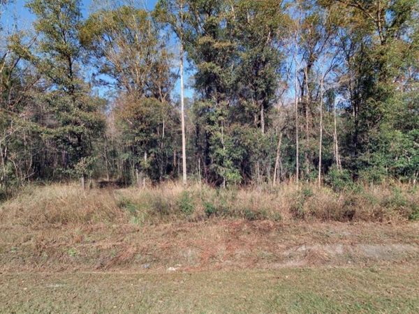 4720 JONATHAN STREET , HASTINGS, FL 32145