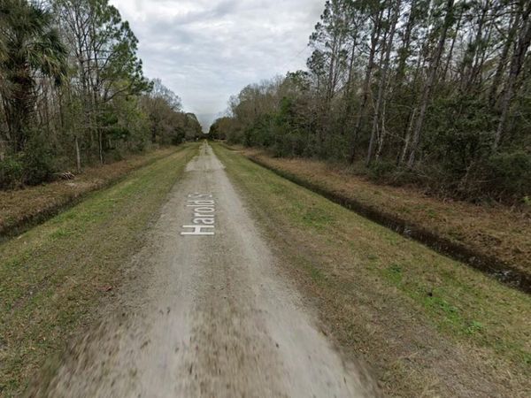 4530 HAROLD STREET , HASTINGS, FL 32145