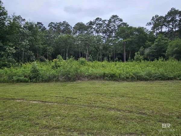 0 Deerfield Drive, Irvington, AL 36582