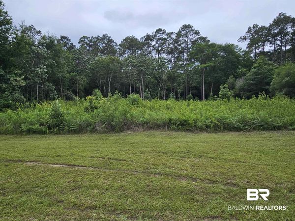 0 Deerfield Drive, Irvington, AL 36582
