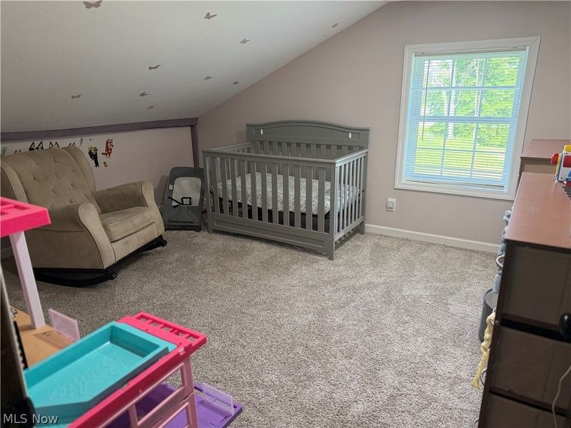 13166 Butternut Road, Burton, OH 44021 Photo 28