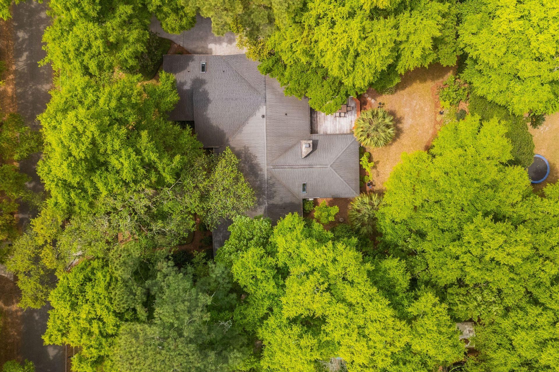 288 Molasses Lane Photo 76