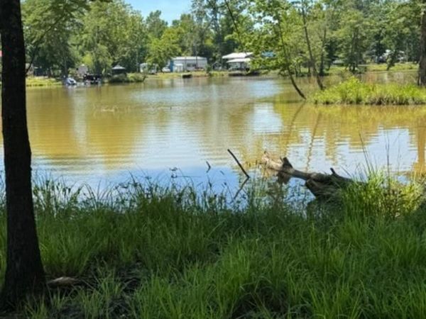 LOT 6 COUNTY ROAD 182, Unit 6, Cedar Bluff, AL 35959