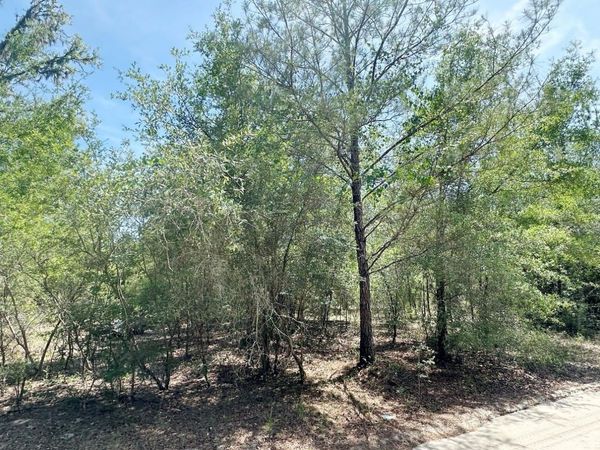 7930 NE 121ST STREET , BRONSON, FL 32621