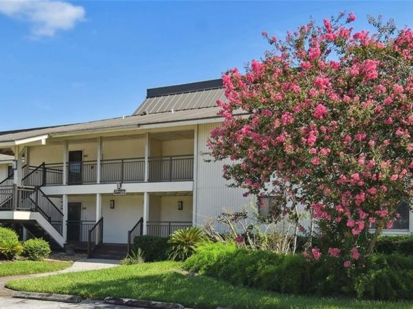 29129 BAY HOLLOW DRIVE, Unit 3212, WESLEY CHAPEL, FL 33543