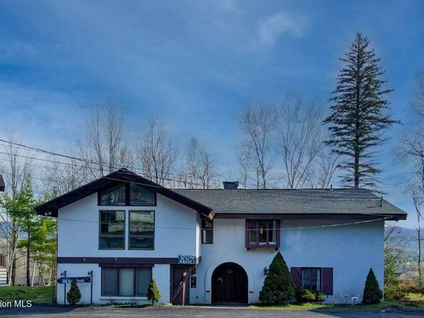 97 Clarence D Lane Road, Unit D, Windham, NY 12496