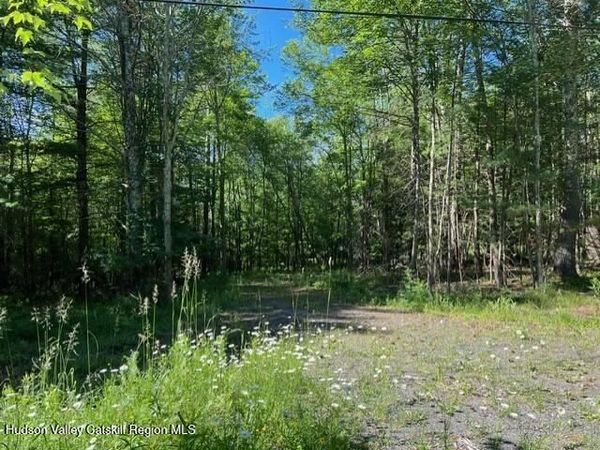 98 Norwegian Road, Prattsville, NY 12468
