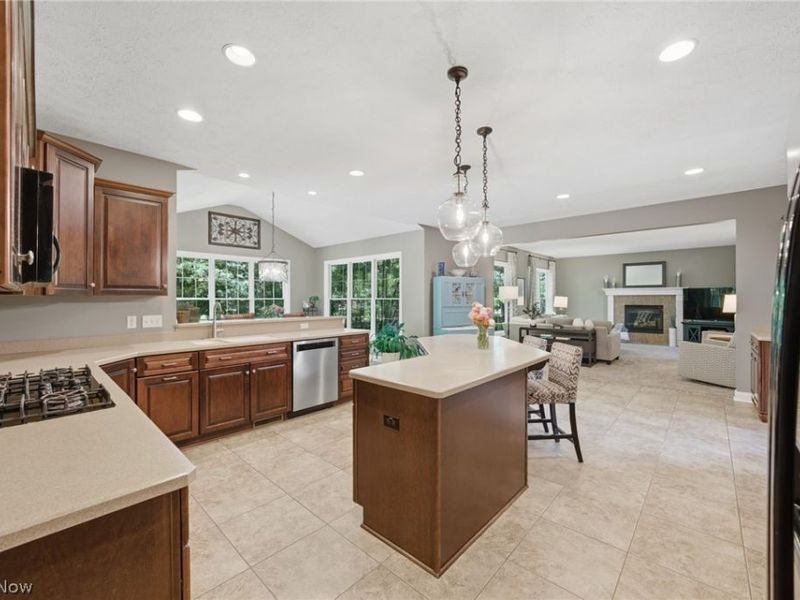255 Pamilla Circle , Avon Lake, OH 44012 Photo 12