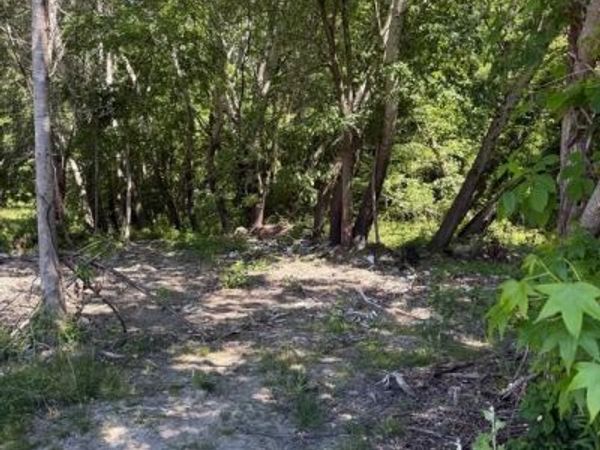 105 BARCLAY CUTOFF ROAD, BARCLAY, MD 21607