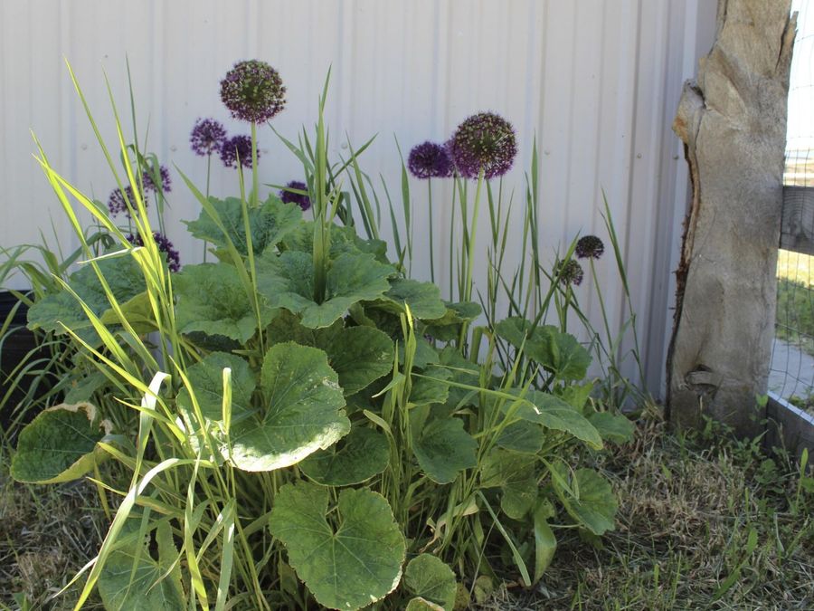 Property Image 47