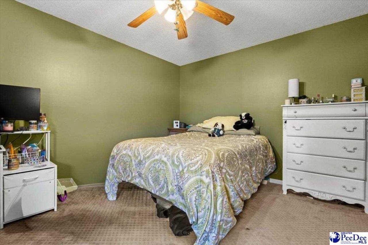 1436 Chandler Circle Photo 19