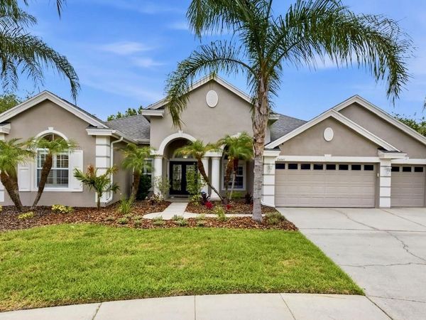 26641 WINGED ELM DRIVE, WESLEY CHAPEL, FL 33544