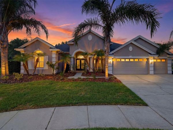 26641 WINGED ELM DRIVE, WESLEY CHAPEL, FL 33544