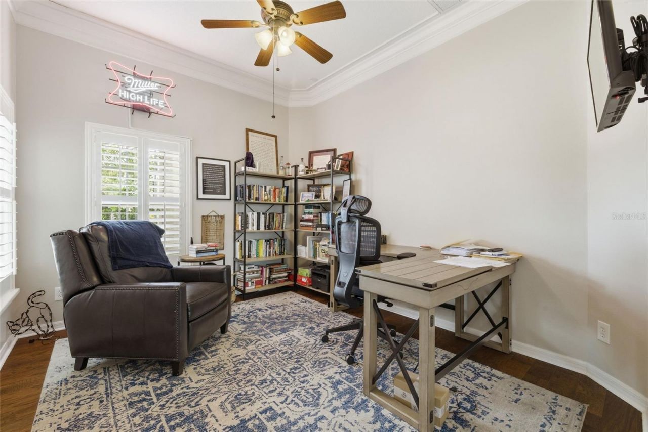 26641 Winged Elm Drive, Wesley Chapel, FL 33544 Photo