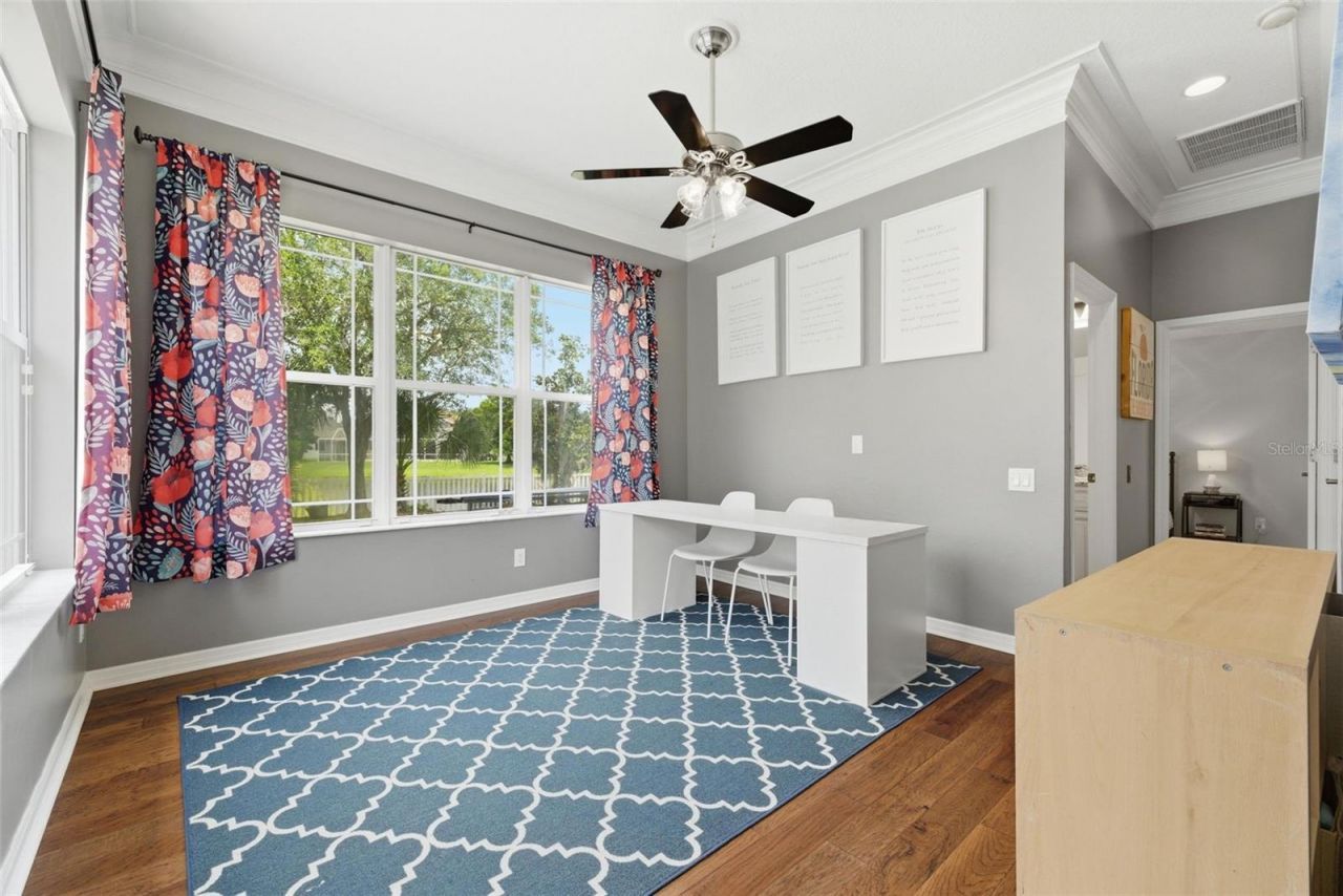 26641 Winged Elm Drive , Wesley Chapel, FL 33544 Photo