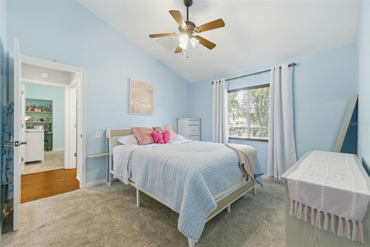 26641 Winged Elm Drive, Wesley Chapel, FL 33544 Photo