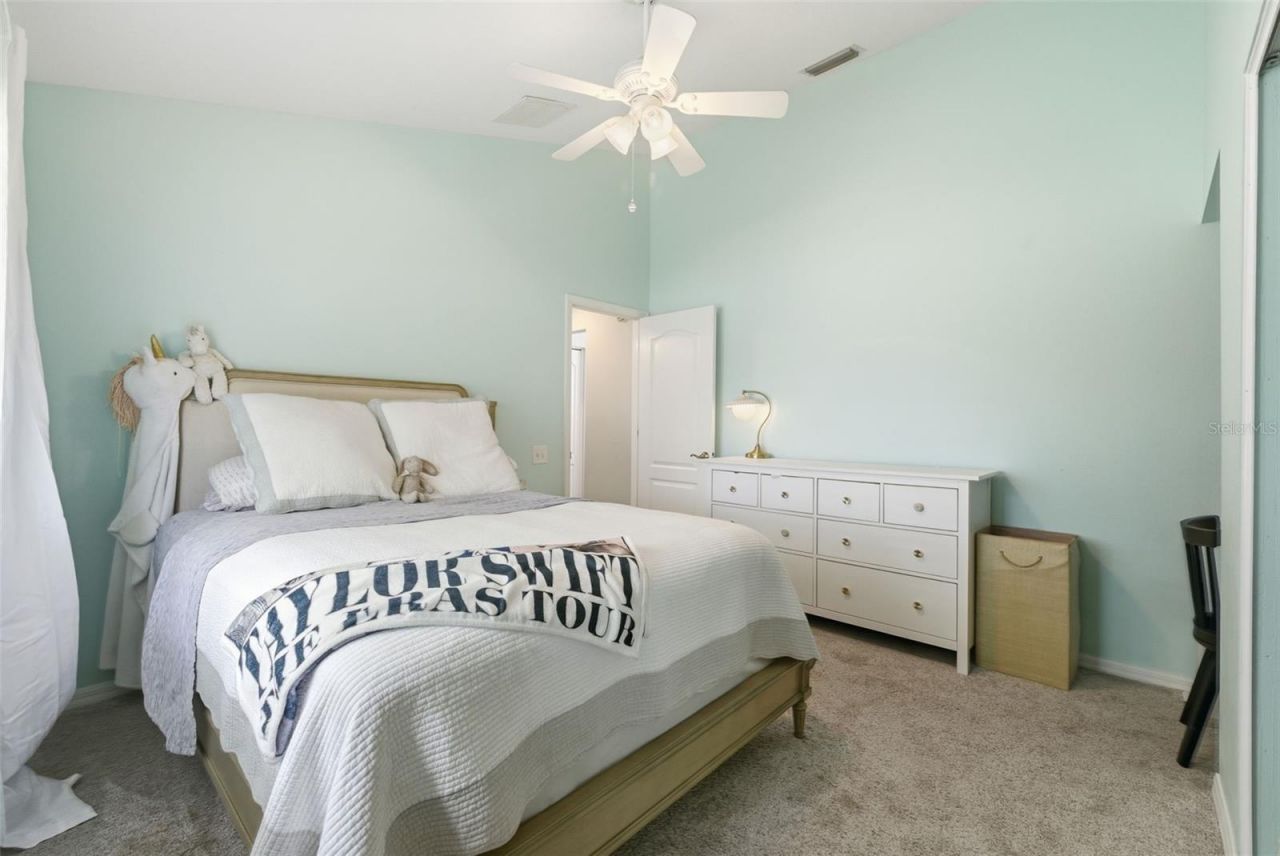 26641 Winged Elm Drive, Wesley Chapel, FL 33544 Photo