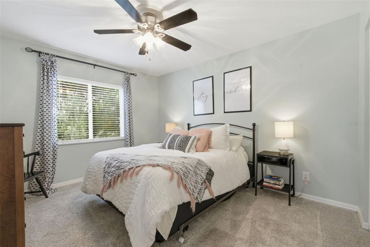 26641 Winged Elm Drive, Wesley Chapel, FL 33544 Photo