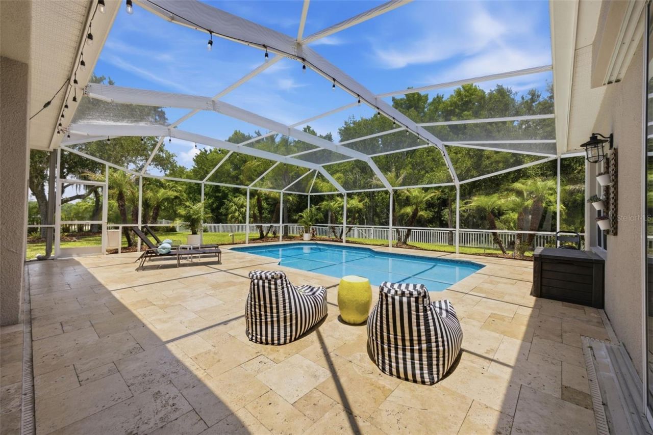 26641 Winged Elm Drive, Wesley Chapel, FL 33544 Photo