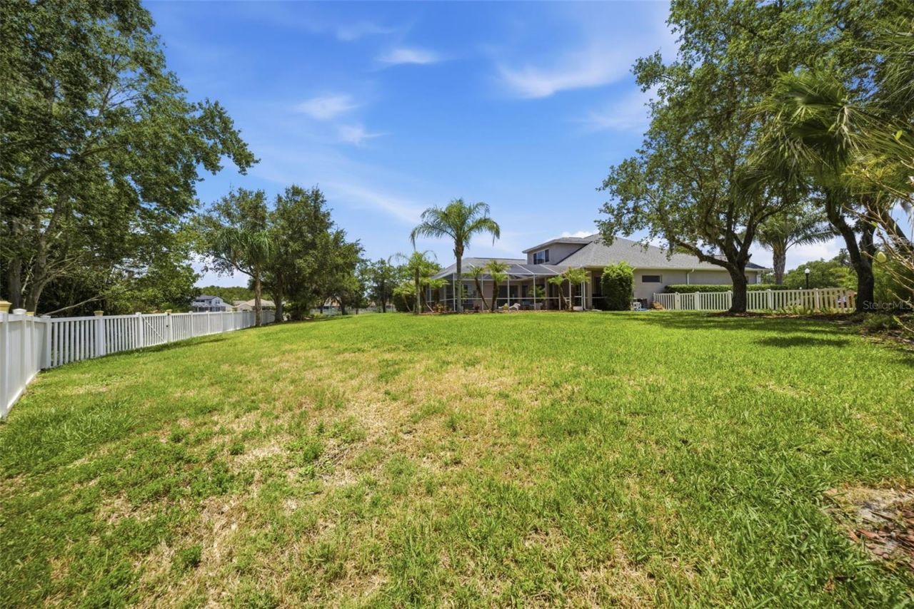 26641 Winged Elm Drive, Wesley Chapel, FL 33544 Photo