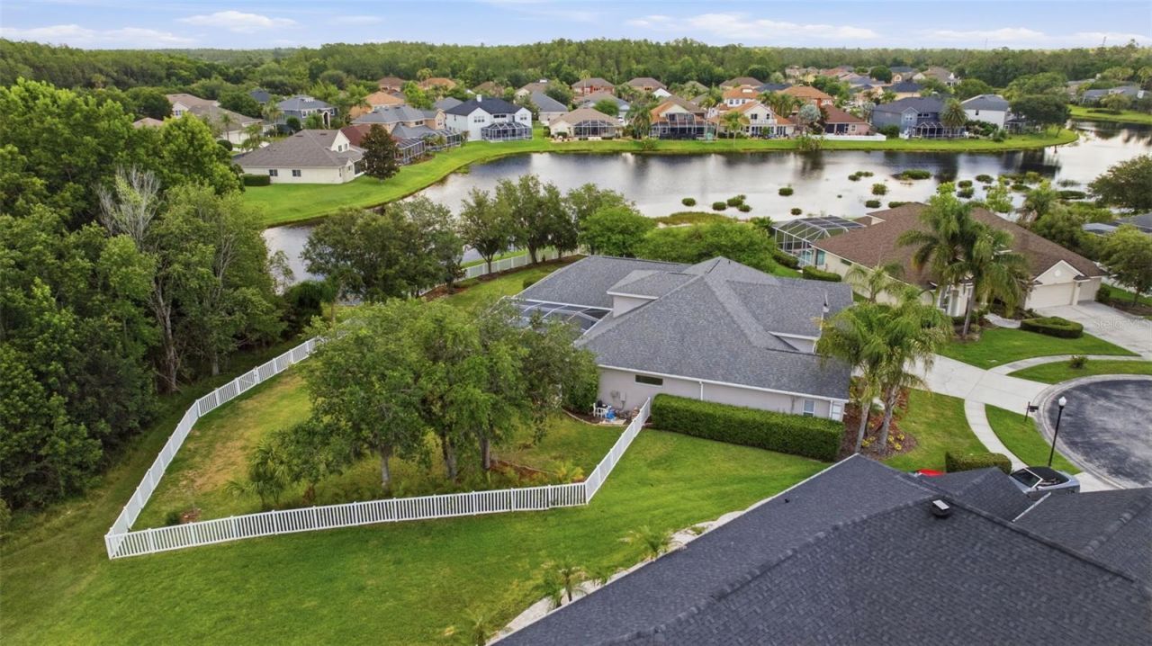26641 Winged Elm Drive , Wesley Chapel, FL 33544 Photo