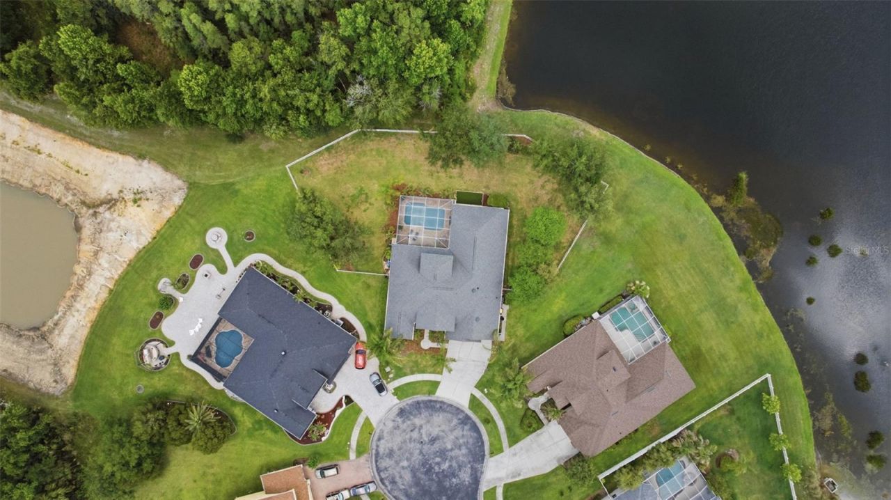 26641 Winged Elm Drive, Wesley Chapel, FL 33544 Photo
