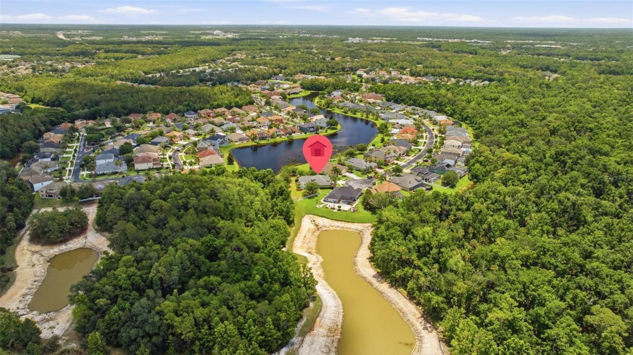 26641 Winged Elm Drive, Wesley Chapel, FL 33544 Photo