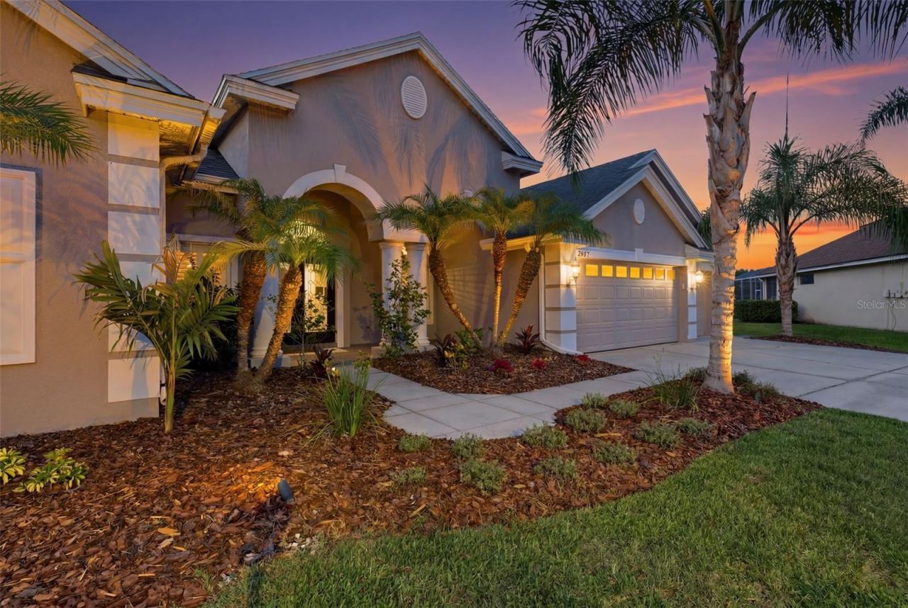 26641 Winged Elm Drive , Wesley Chapel, FL 33544 Photo