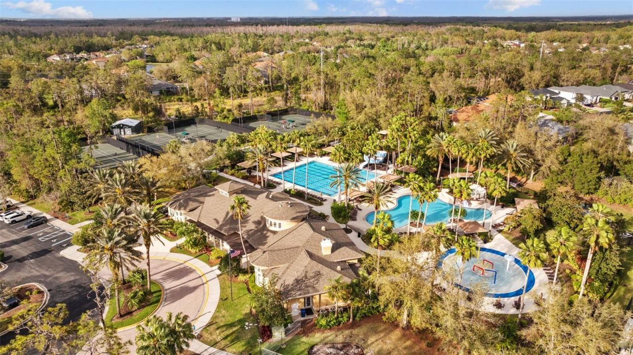 26641 Winged Elm Drive , Wesley Chapel, FL 33544 Photo