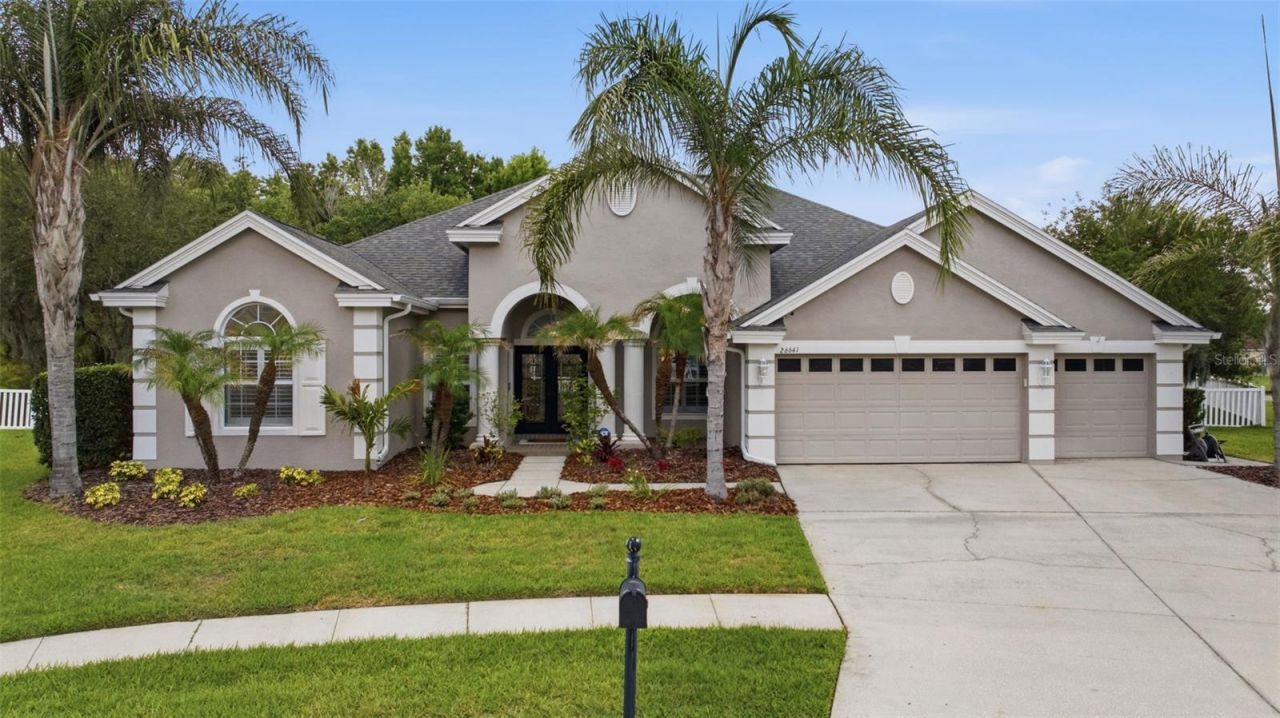 26641 Winged Elm Drive , Wesley Chapel, FL 33544 Photo