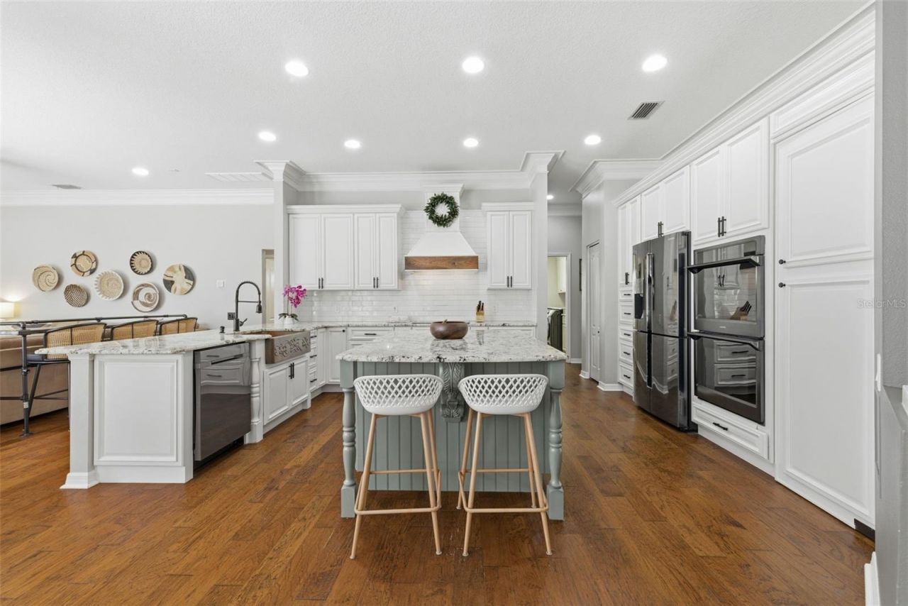 26641 Winged Elm Drive, Wesley Chapel, FL 33544 Photo