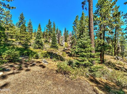 1 Kelly Circle, Glenbrook, NV 89413 Photo