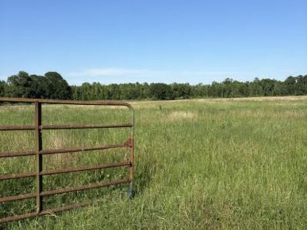 0 Galloway Road , Graceville, FL 32440