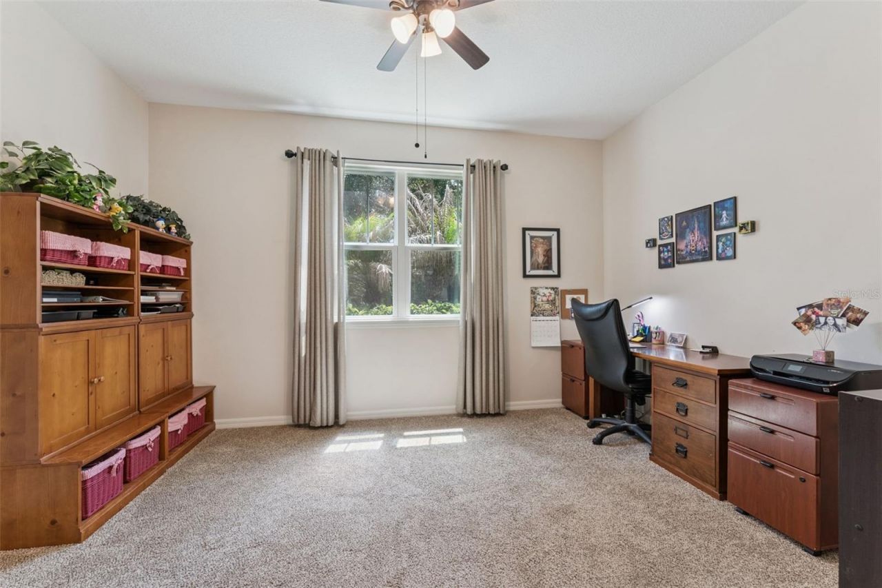 8016 Atlantic Puffin Street, Winter Garden, FL 34787 Photo