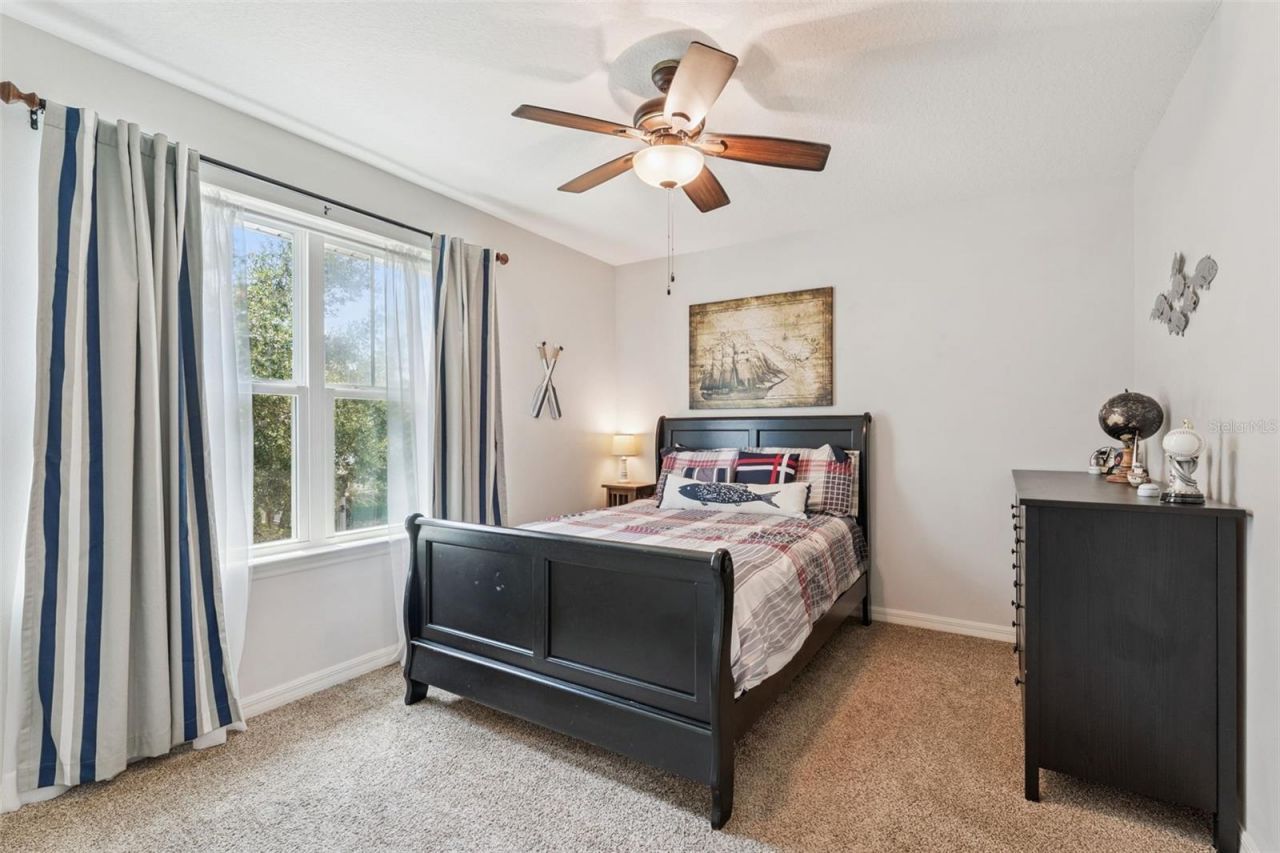8016 Atlantic Puffin Street, Winter Garden, FL 34787 Photo