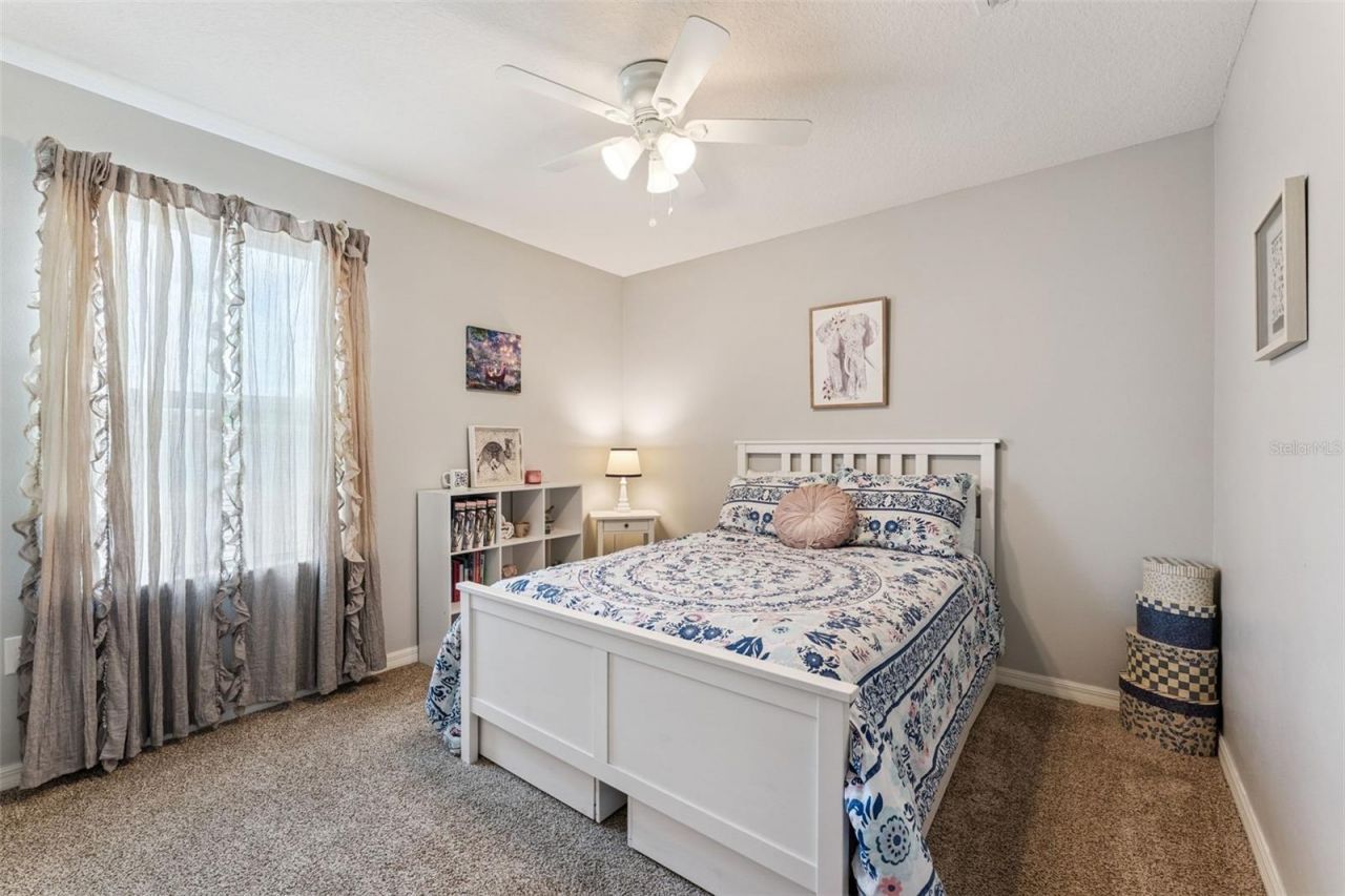 8016 Atlantic Puffin Street, Winter Garden, FL 34787 Photo