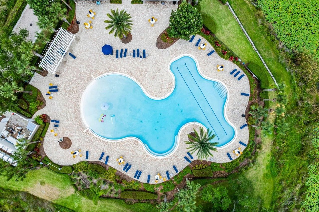 8016 Atlantic Puffin Street, Winter Garden, FL 34787 Photo