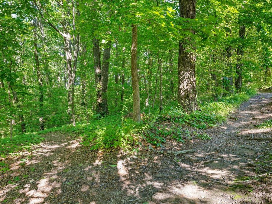 Property Image 103