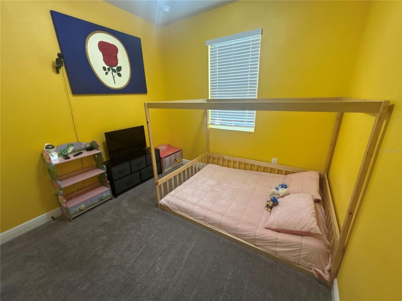 2587 Summer Star Way , Leesburg, FL 34748 Photo