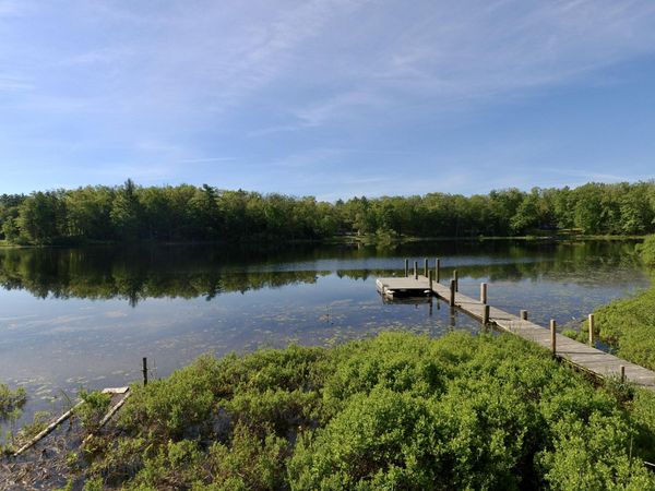 8100 N Marigold Avenue, Bitely, MI 49309