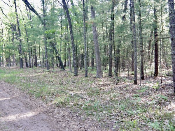 V/L W Cypress Avenue, Baldwin, MI 49304