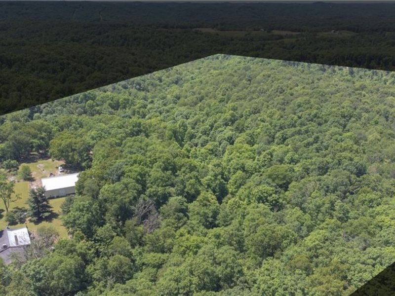 38967 State Route 39 Road, Salineville, OH 43945 Photo 3