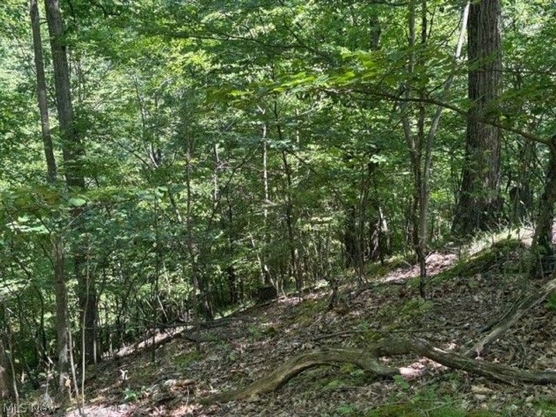 38967 State Route 39 Road, Salineville, OH 43945 Photo 35