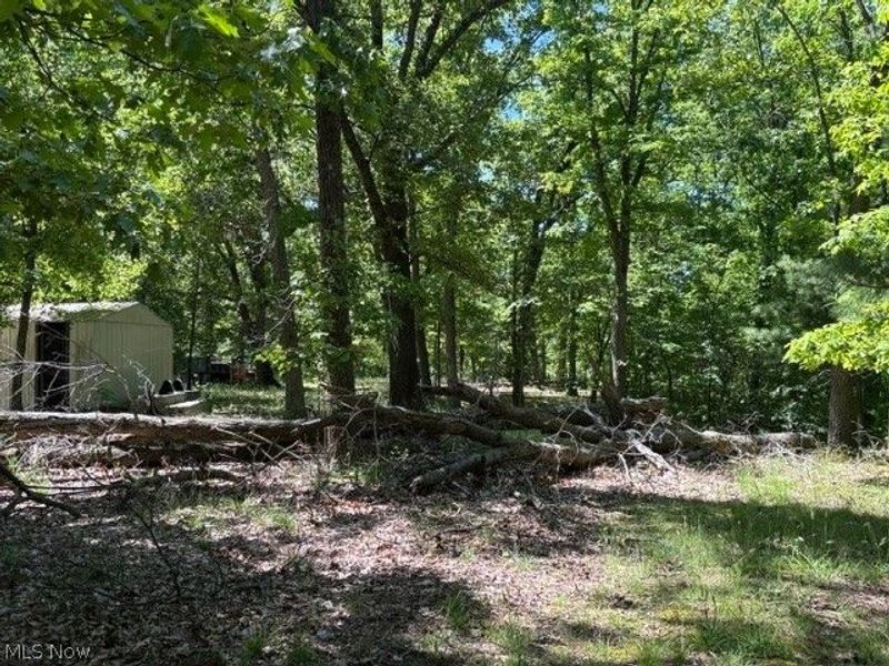 38967 State Route 39 Road, Salineville, OH 43945 Photo 44
