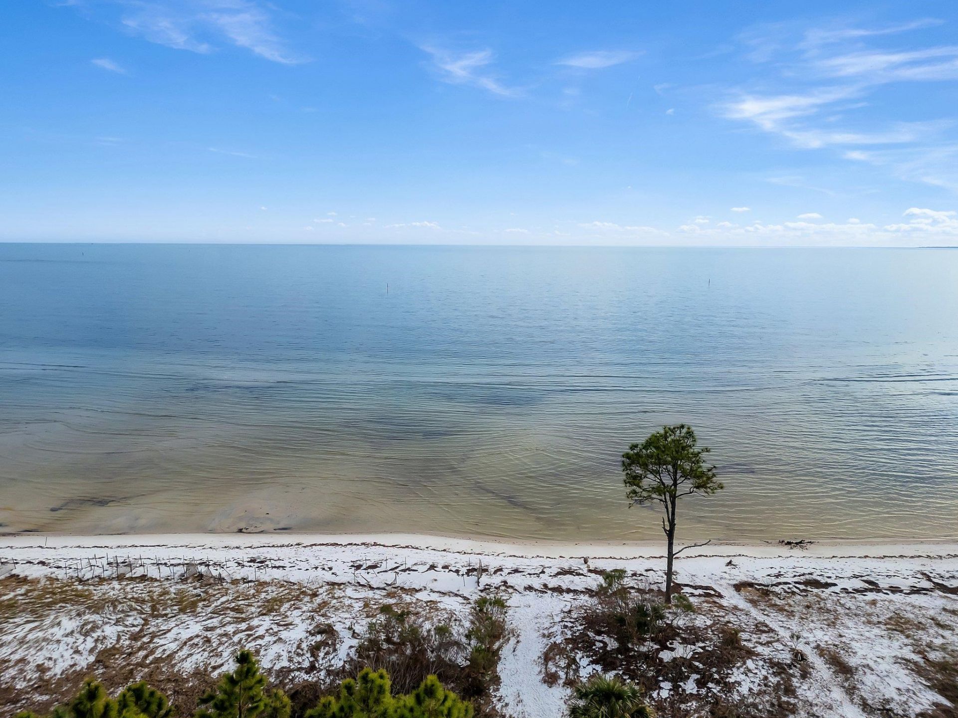 301 Gullwing Way, Saint Teresa, FL 32358 Photo