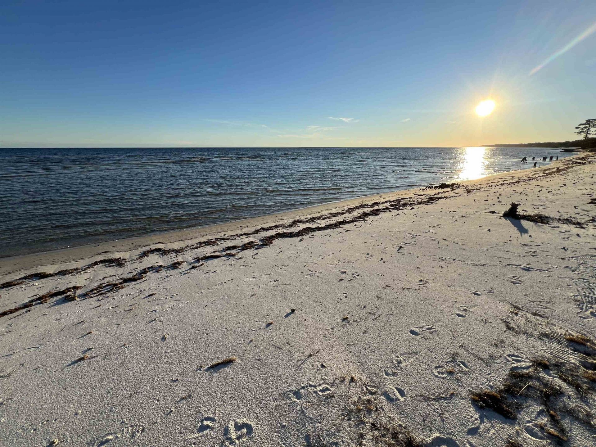 301 Gullwing Way, Saint Teresa, FL 32358 Photo