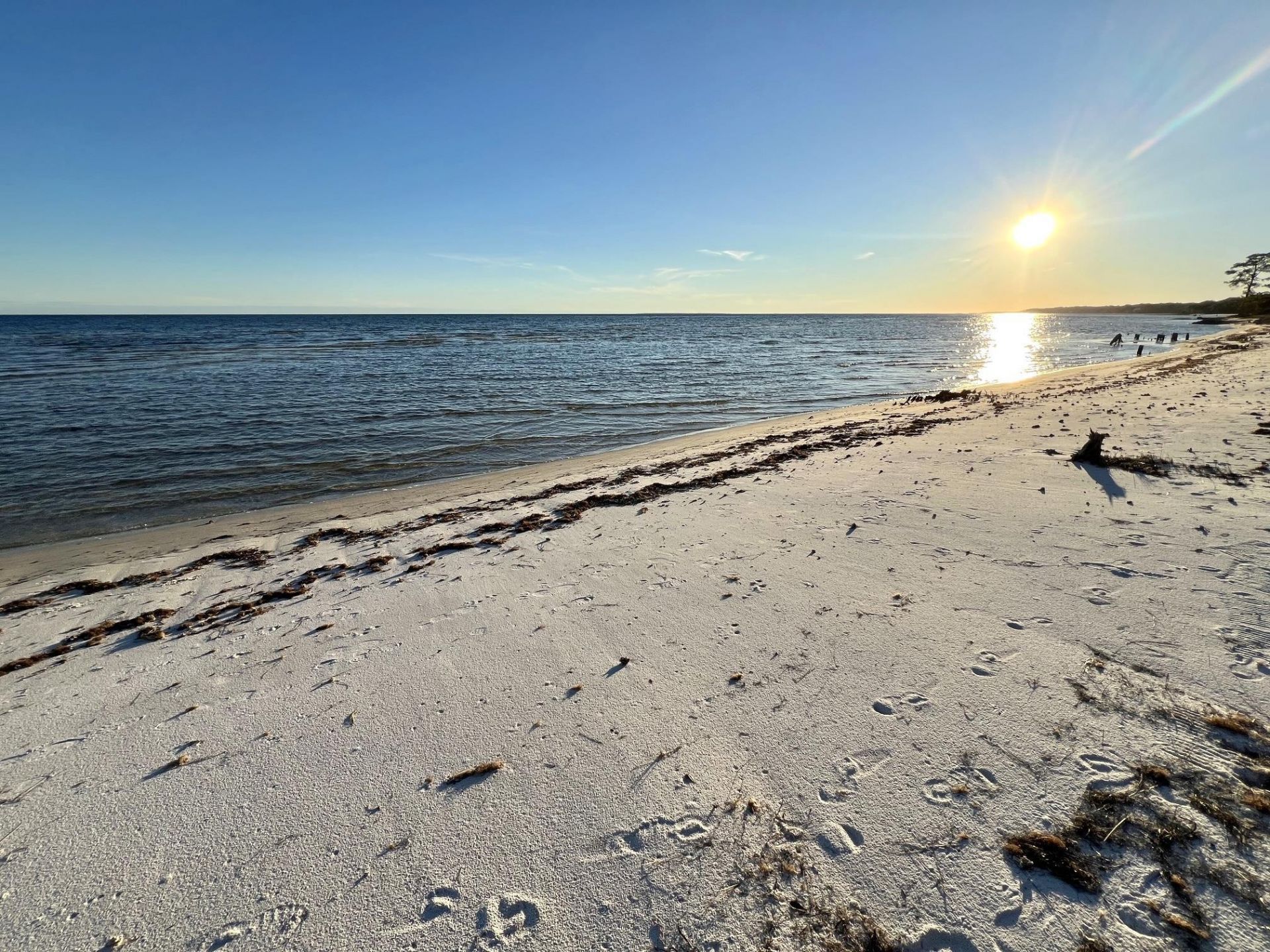 301 Gullwing Way, Saint Teresa, FL 32358 Photo